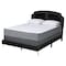 Baxton Studio Oxley Traditional Glam and Luxe Black Velvet and Gold Metal Queen Size Panel Bed 220-12848-ZORO - alternate 3
